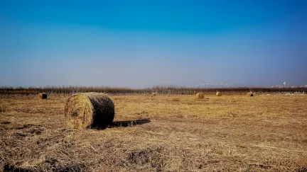 Casino Slot Shack Mobiele App